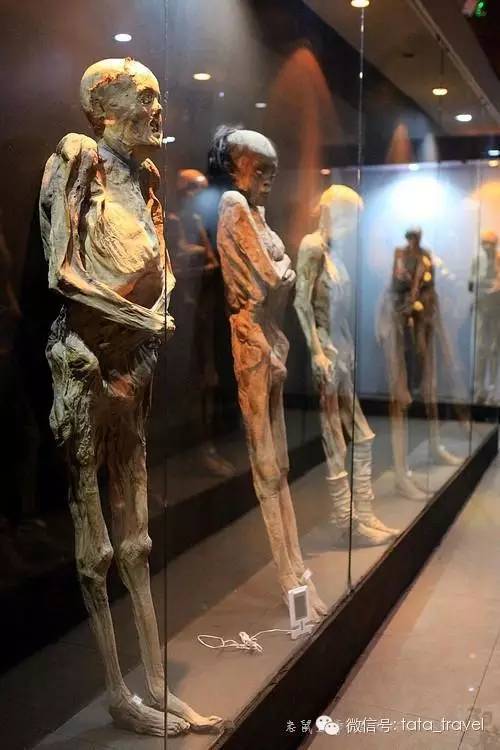 墨西哥木乃伊 世界上最恐怖的人尸博物馆